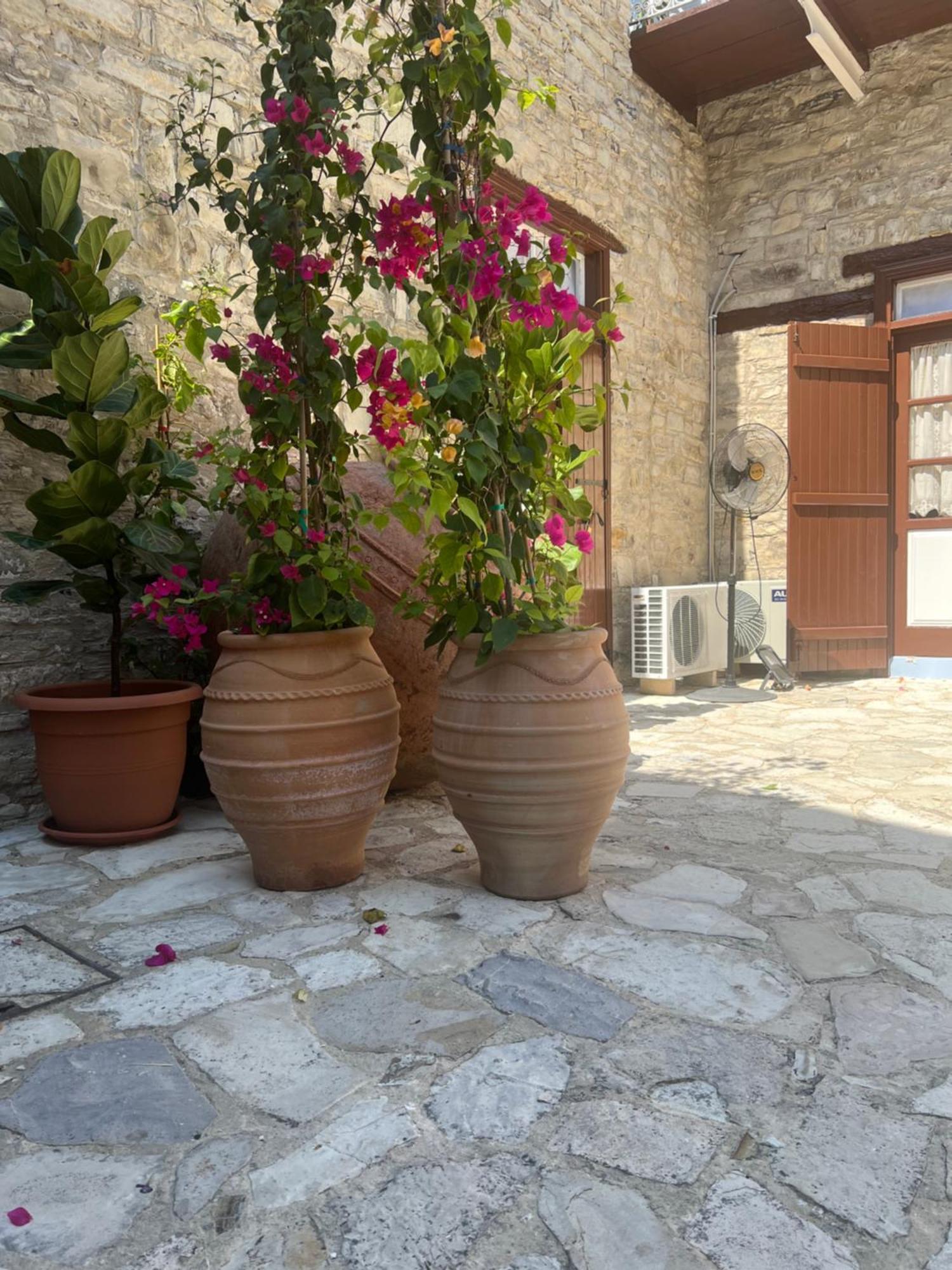 Villa Theodorou Lefkara Extérieur photo