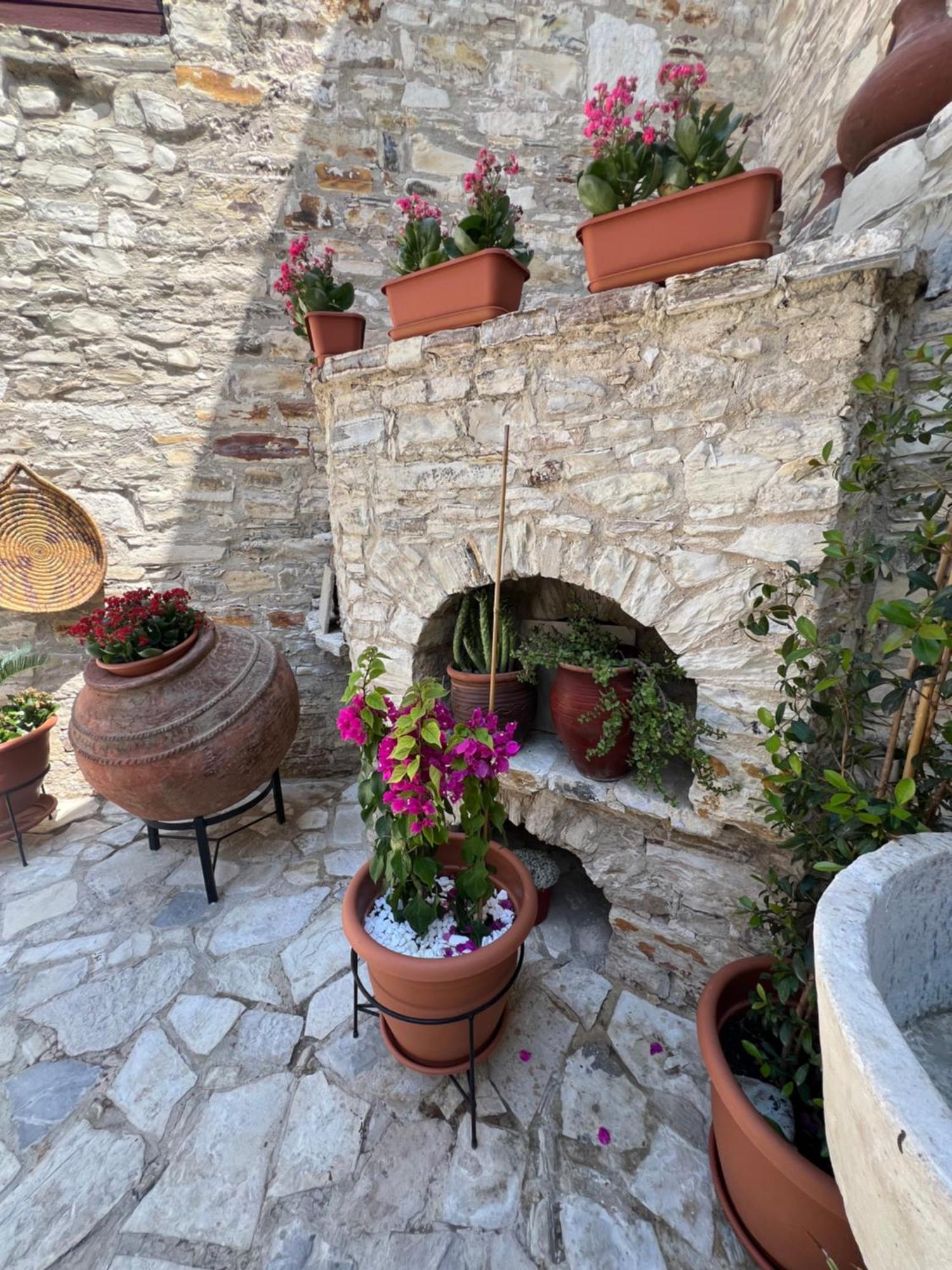 Villa Theodorou Lefkara Extérieur photo