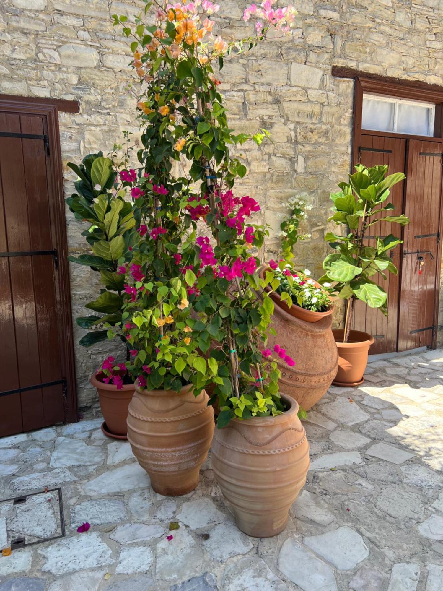 Villa Theodorou Lefkara Extérieur photo